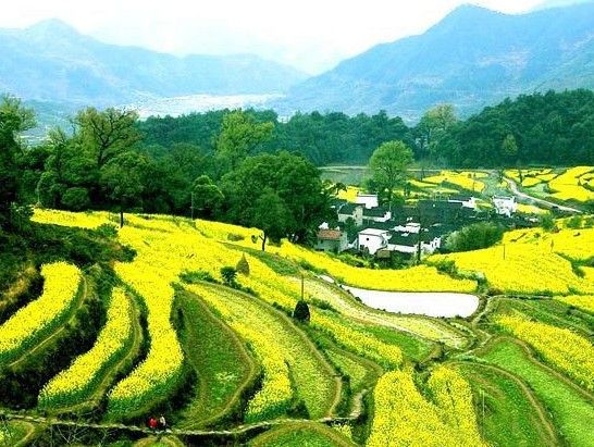 到福橋村 到福橋村