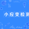 小應變檢測 小應變檢測