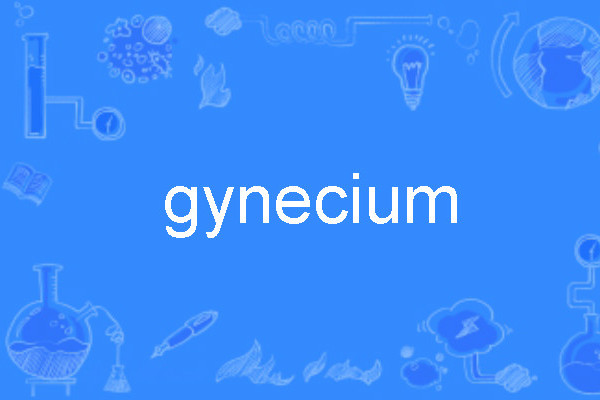 gynecium gynecium