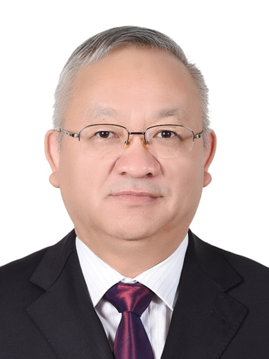 丁漢明(上海市崇明區政協副主席) 丁漢明(上海市崇明區政協副主席)