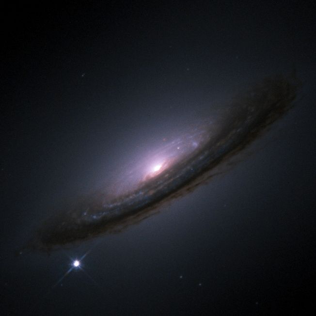 SN 1994D SN 1994D