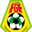 幾內亞國家足球隊