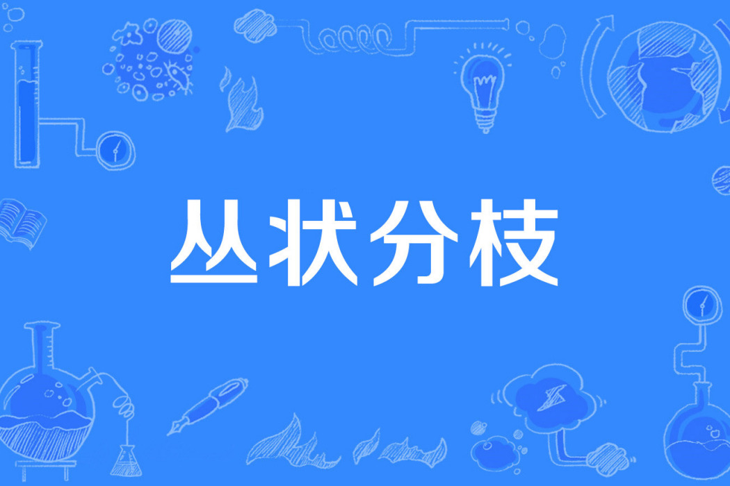 叢狀分枝 叢狀分枝