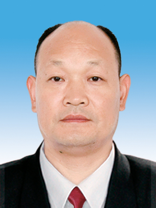 王宏微 王宏微