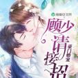 豪門婚寵(九三零創作的網路小說) 豪門婚寵(九三零創作的網路小說)