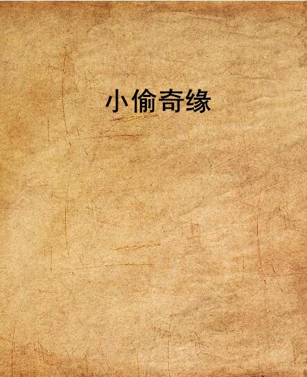 小偷奇緣
