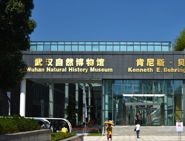 武漢自然博物館