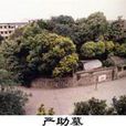 嚴助墓 嚴助墓