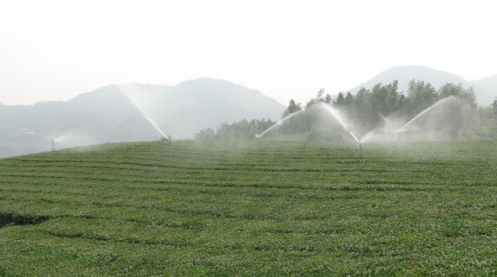 灌溉效益