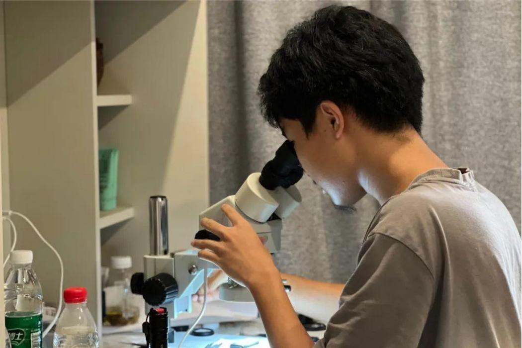 張逸軒(新物種卷肢華石蟹發現者) 張逸軒(新物種卷肢華石蟹發現者)