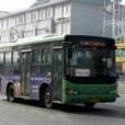 靖江公交228路 靖江公交228路
