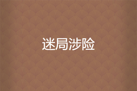 迷局涉險 迷局涉險