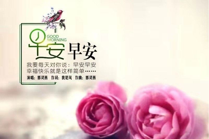 早安早安 早安早安