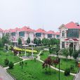蔣巷村 蔣巷村
