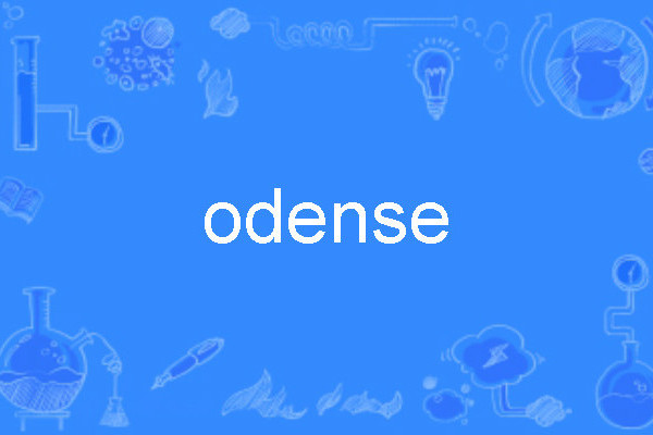 odense odense