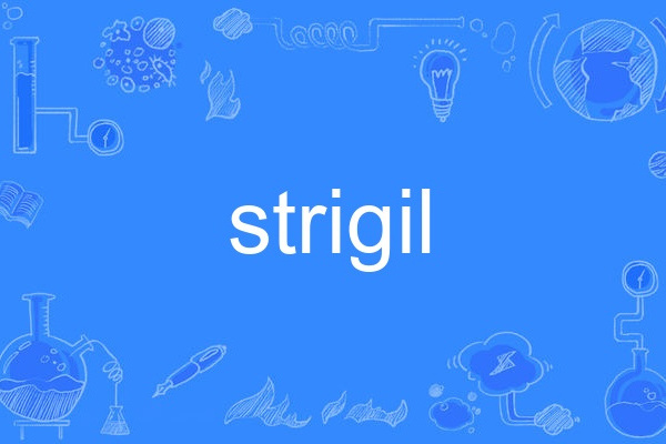 strigil strigil