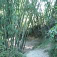 新簸迷村 新簸迷村
