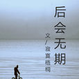 後會無期(寂寞梧桐創作網路小說)