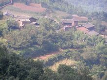 芹菜塘村(雲南省祿豐縣妥安鄉嶺崗村委會芹菜塘村) 芹菜塘村(雲南省祿豐縣妥安鄉嶺崗村委會芹菜塘村)