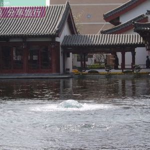 梅花泉 梅花泉