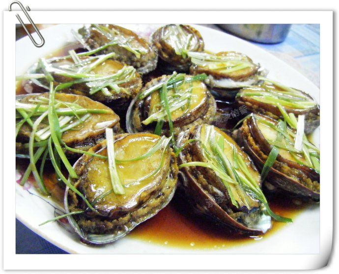 鮮貝鮑魚