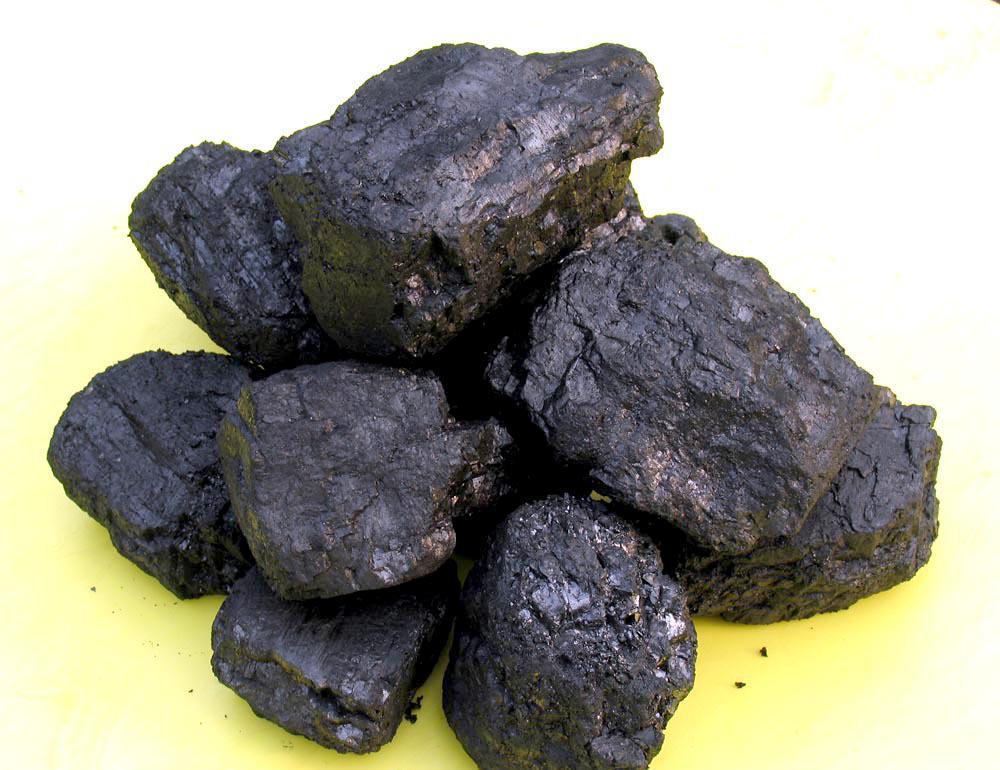 煤粘結性