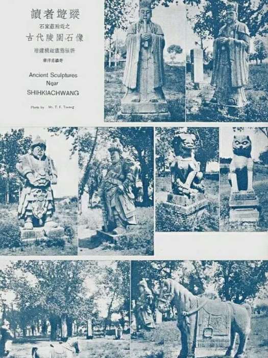 崔應麒 崔應麒