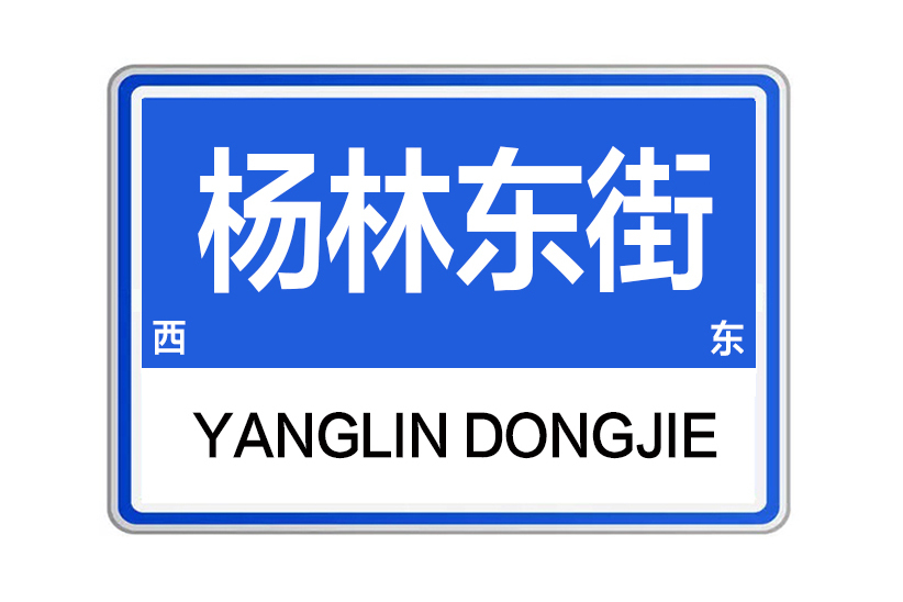 楊林東街