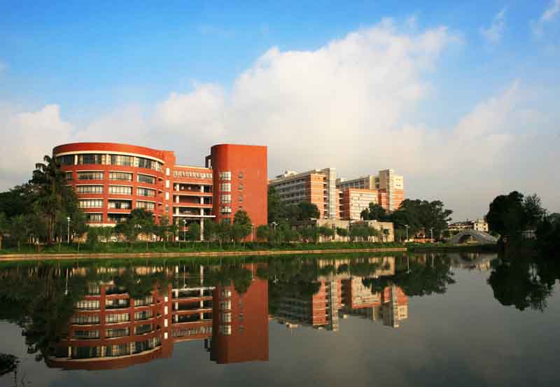 華南農業大學藝術學院