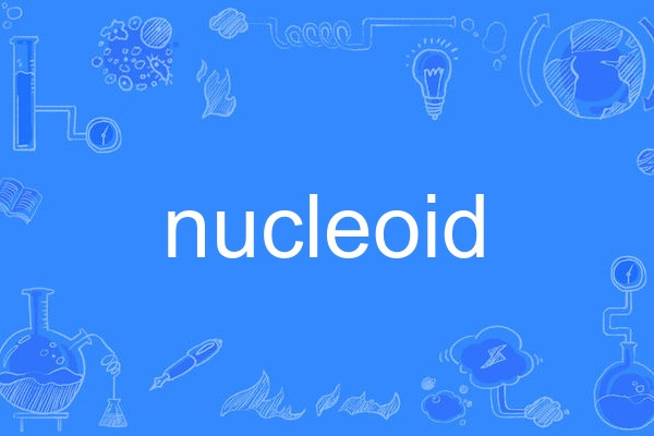 nucleoid nucleoid