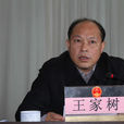 王家樹(岳陽市委副秘書長) 王家樹(岳陽市委副秘書長)