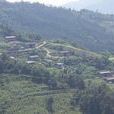 高家寨村(雲南省曲靖市師宗縣高良鄉高家寨村) 高家寨村(雲南省曲靖市師宗縣高良鄉高家寨村)