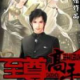 至尊高手(柳下僧所著小說) 至尊高手(柳下僧所著小說)