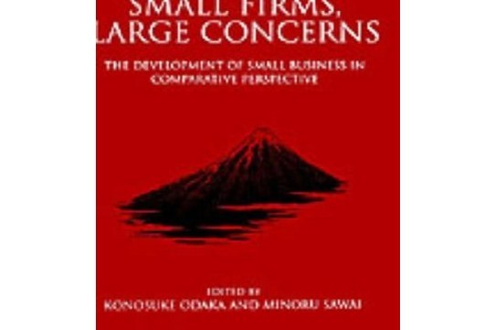 Small Firms, Large Concerns Small Firms, Large Concerns