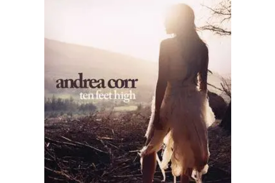 Shame On You(Andrea Corr演唱的歌曲) Shame On You(Andrea Corr演唱的歌曲)