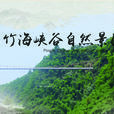 川西竹海景區(沐川竹海) 川西竹海景區(沐川竹海)