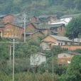 龍王塘村 龍王塘村