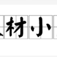大材小用(成語解釋)