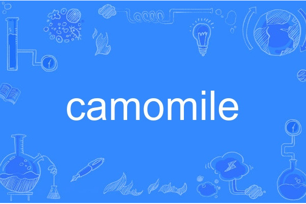 camomile camomile