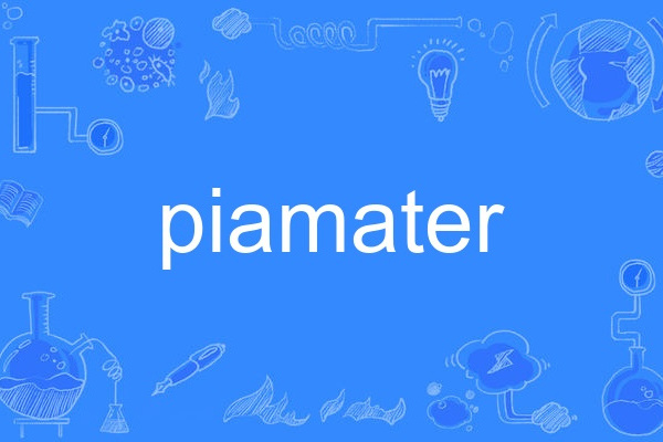 piamater piamater