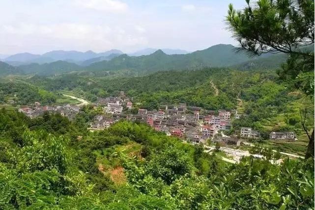 毛村村 毛村村