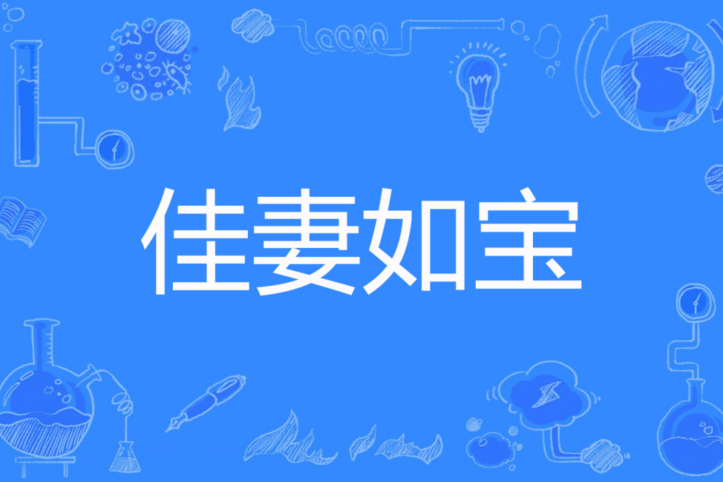佳妻如寶 佳妻如寶