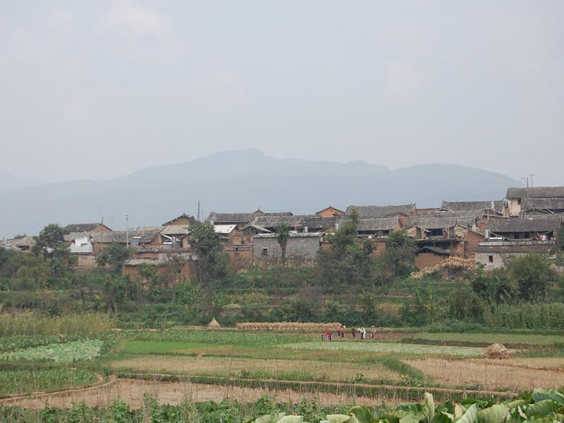 中所村(雲南省紅河建水縣曲江鎮中所村) 中所村(雲南省紅河建水縣曲江鎮中所村)