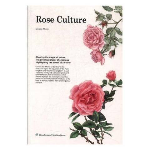Rose culture Rose culture