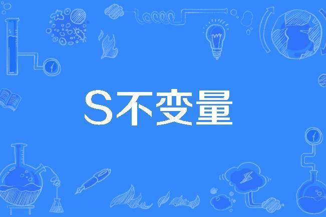 S不變數 S不變數
