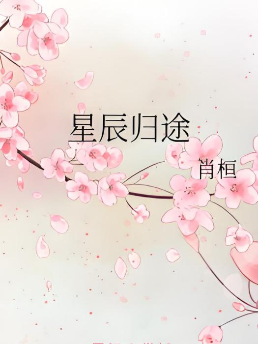星辰歸途 星辰歸途