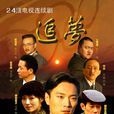 追夢(2008年顧晶導演大陸電視劇) 追夢(2008年顧晶導演大陸電視劇)