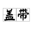 蓋帶 蓋帶