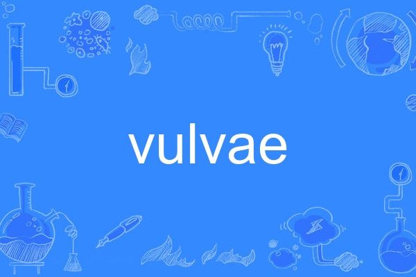 vulvae vulvae