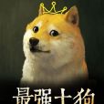 最強土狗 最強土狗